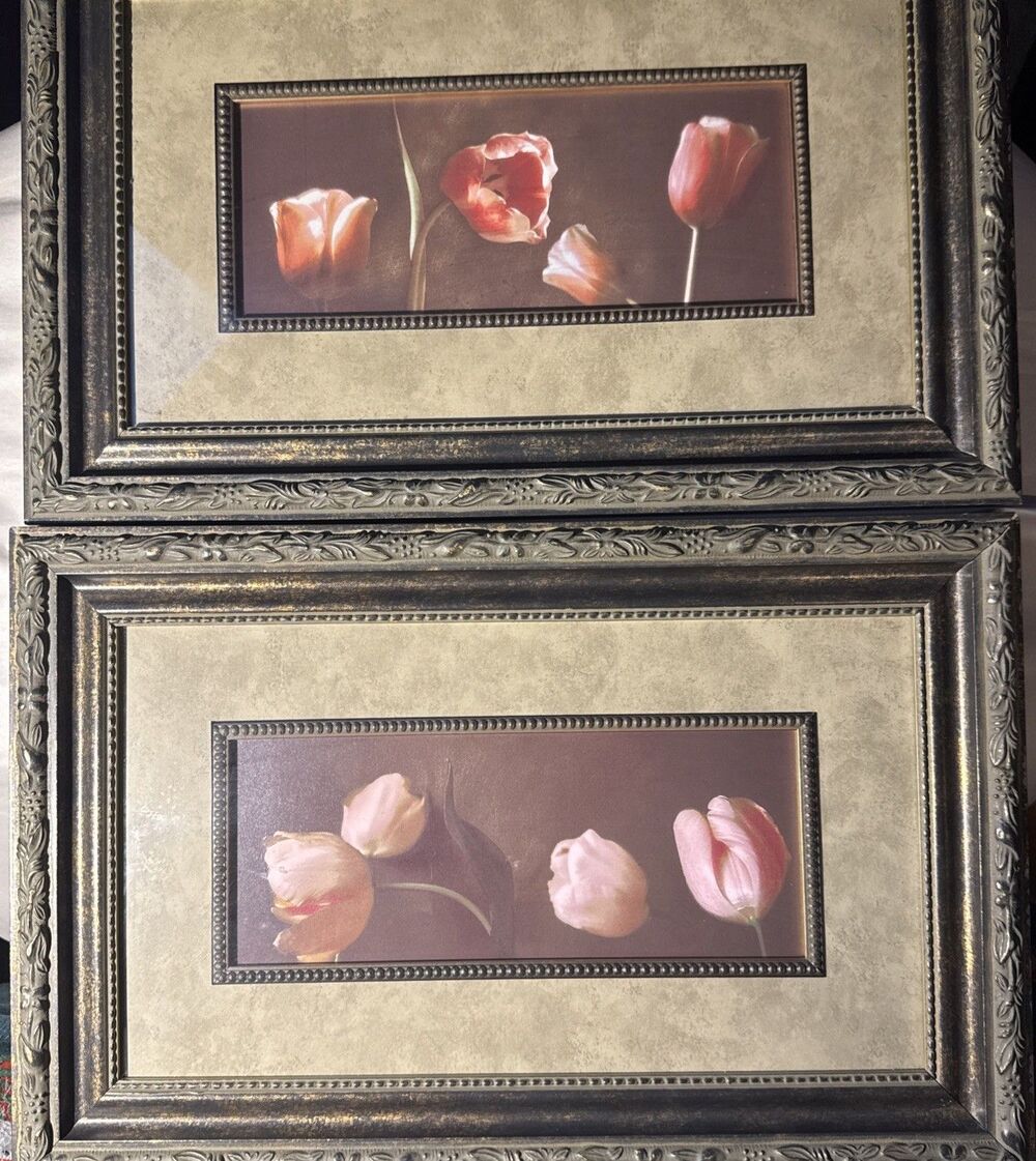 Judy Mandolf Vintage Framed Tulips Prints In Genuine Wood Frames For Sonoma